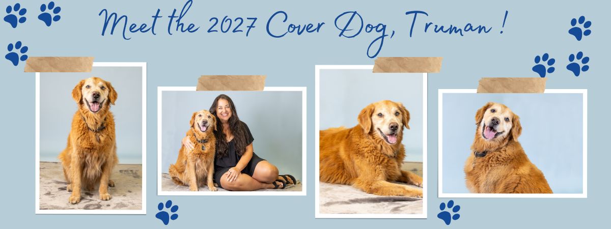 2027 Walk Website graphics.jpg